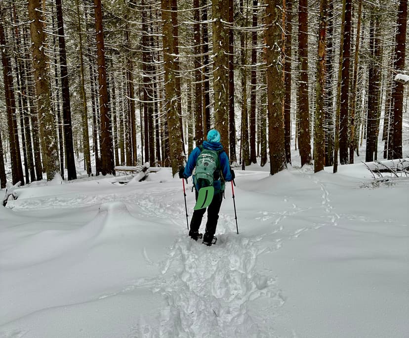 Що робити, якщо заблукав?